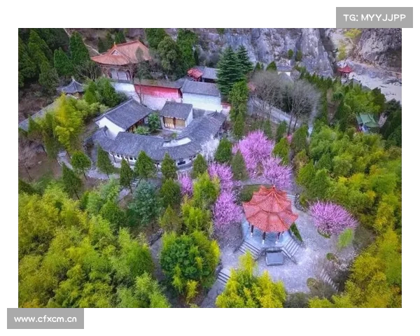 “科技+旅游”感受不一样的陇南 “科技+旅游”感受不一样的陇南